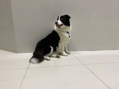 -上海潜殿潜水中心