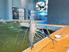 -桃源乐钓虾馆(松岗概念店)