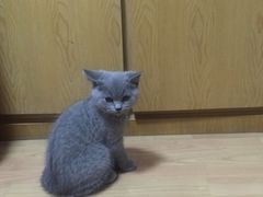 -中农国际动物医院24小时·猫科·骨科·急重症中心