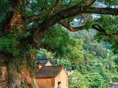 -杨家堂村