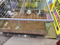 -老昌春饼(松北店)