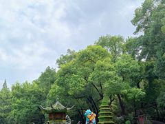 -忠山公园
