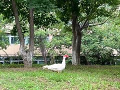 -大连外国语大学(旅顺校区)