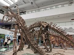 -中国地质大学逸夫博物馆