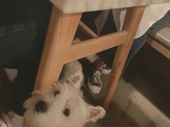 -the rug 飞毯 (朝阳公园店)