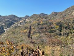 -大岭沟猕猴桃谷风景区
