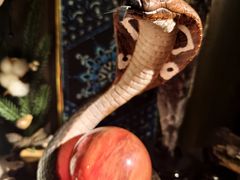 -雪灵魔法世界SHELLY’S TAROT(大良桂畔里店)