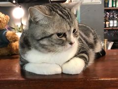 -咖法森林·咖啡  酒吧(天河店)