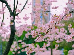-静安雕塑公园