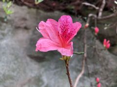 -木兰云雾山