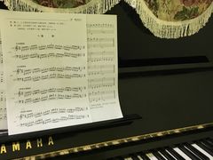 -梅纳·钢琴声乐架子鼓Mena Music(双井店)