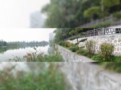 -渭滨公园