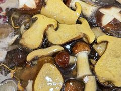 -新疆那拉提国家旅游度假区