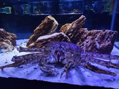 -海合安天津极地海洋公园