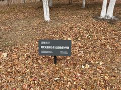 -长春世界雕塑园冰雪艺术天地