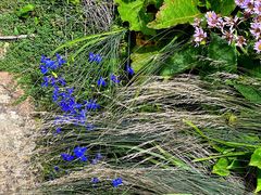 -白草畔自然风景区