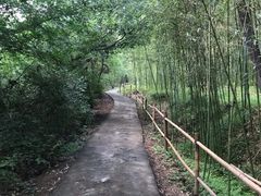 -终南山国家森林公园