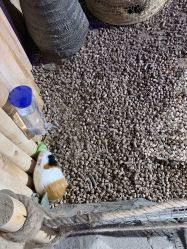 -酷嗒动物文化乐园(cutezoo西溪乐天城店)