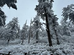-瓦屋山景区