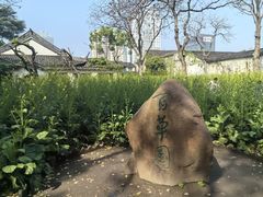 -上海长江河口科技馆