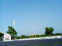 -渔岛海洋度假区