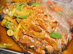 湄公鱼-炉鱼(萧山万象汇店)