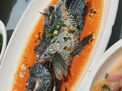 -宋园·金宴浙鲜馆(静安店)