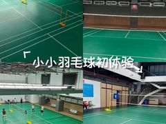 -四川省体育馆羽毛球馆