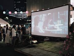 -岭南站NOVA