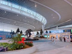 -青岛胶东国际机场