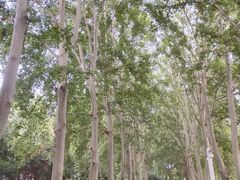 -河南省黄河迎宾馆