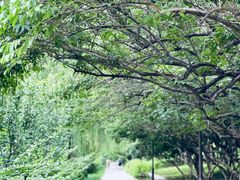 -元大都城垣遗址公园