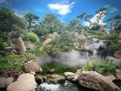 -罗红摄影艺术馆