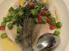 -海派悦庭·海胆烧麦·新融合菜(凯德广场店)