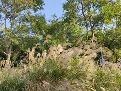 -上海山野camping·户外天幕烧烤·团建拓展营地