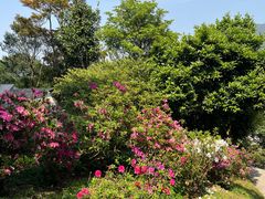 -梧桐山风景名胜区