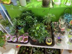 -北京华联生活超市(北京常营店)