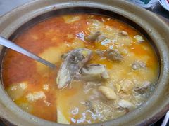糟粕醋椰林鸡-楠波炭炉鸡煲馆(桥北店)
