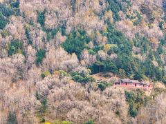 -五台山圆照寺