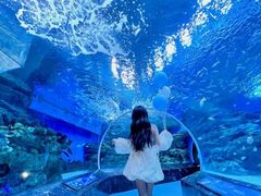 -海合安成都极地海洋公园