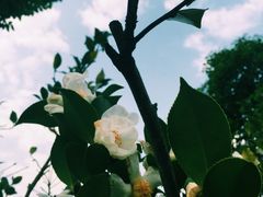 -长沙大成国际大酒店