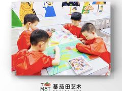 -蕃茄田艺术•美术绘画 •硬笔书法(滨江海威领界店)