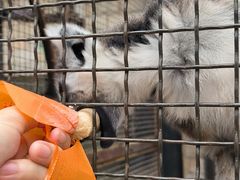 -石家庄市动物园