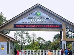 -中国大熊猫保护研究中心雅安碧峰峡基地