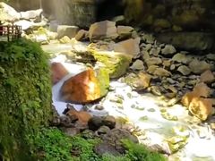 -鹿院坪生态旅游景区