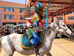 -海合安武汉极地海洋公园