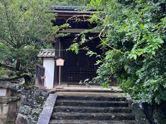 -奈良公园