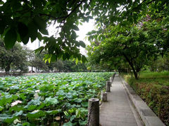 -广西大学(大学东路校区)