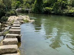 -花溪公园