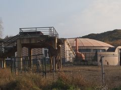 -哈尔滨北方森林动物园
